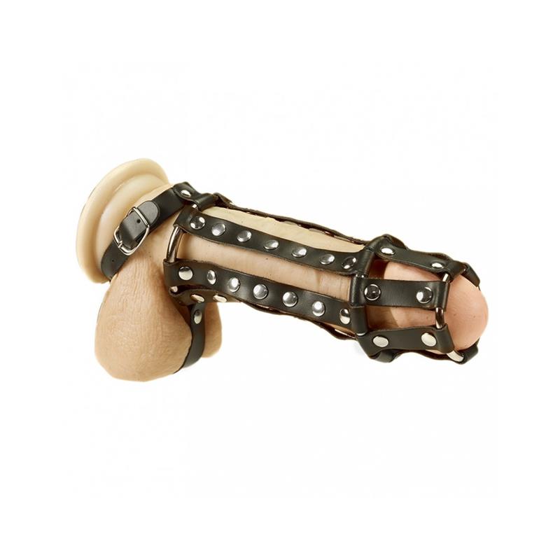 Arnês completo para pênis e testículos