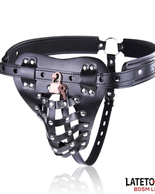 Cinto de Castidade Masculino com Cadeado Ajustável